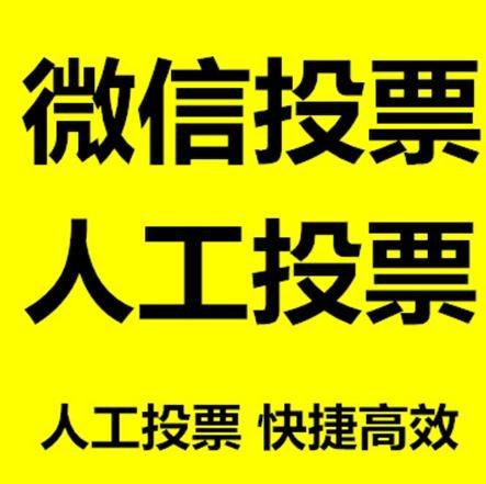 三亚市投票活动拉票能被查出来吗？如何操作能不被发现？
